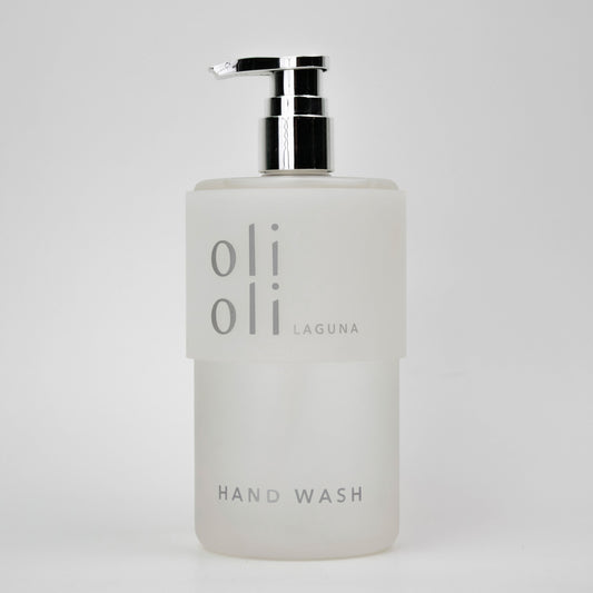 BOTANICAL HAND WASH 15.2oz